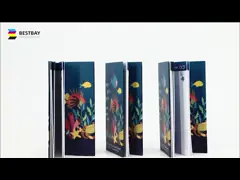 Обслуживания печатания брошюры каталога A5 A3 возмещенные со штейновым слоением video