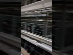 Farm Poultry Chicken Cage 190 * 35 * 38cm / 195 * 45 * 41cm Size Durable