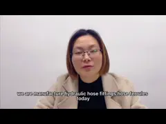 03310-06 выковал женский шланг гидросистемы гофрируйте сталь углерода SS Ferrules video