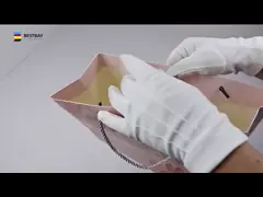 Бумажные мешки Pantone штейновые напечатанные выбивая смещенное 250gram с переплетенными ручками video