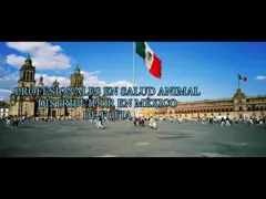 Unshared микросхемы кода 991 ICAR животные вводимые в простерилизованном мешке с 6 стикерами штрихкода video