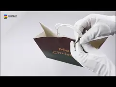 pantone бумажных мешков 50mic CPP Kraft возместило бумажные сумки подарка для бакалеи video