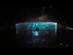 Der guten Qualitäts-3D Hologramm ganz eigenhändig geschrieber Mesh Net For The Stage 3D Holo Mesh Vivid Hologramm-der Gaze-3D