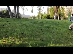 Фонтан на открытом воздухе собаки силикона качества еды чашки бутылки с водой любимца 12OZ портативной выпивая video