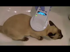 Серый блок развертки микросхемы РФИД ручной для животного управления, 12 часов рабочего временени video