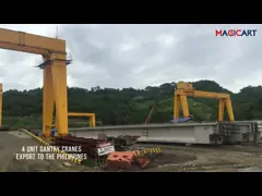 Рельс контейнера корабля RMG установил эффективное двойного луча крана на козлах высокое video