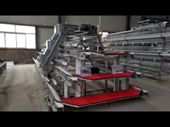 Полностью автоматический цыпленок бройлера батареи арретирует тип h сельского хозяйства птицы video