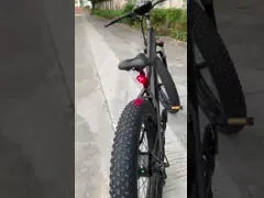 Electric Mountain Fat Tire Bike With GPS Speedometer 48V Lithium Battery