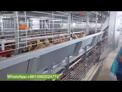 Гальванизированный Broody цыпленок клетки цыпленка, 3 или 4 полов поднимая оборудование video