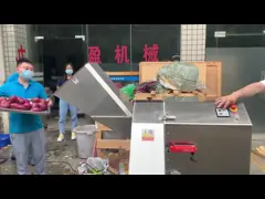 3000kg/h die Obstverarbeitungs-Ausrüstungs-Bananen, die Ananas-würfelnde Maschine schneiden