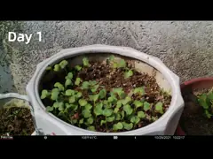 олени датчика CMOS цвета чувствительности 1080P полные HD высокие охотясь камеры следа video