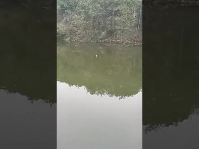 14 - 78 PCS Рыболовные приманки набор металлические ложки с мягкой силиконовой приманкой видео