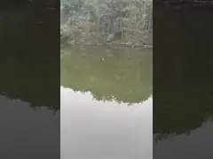 14 - 78 PCS Рыболовные приманки набор металлические ложки с мягкой силиконовой приманкой video