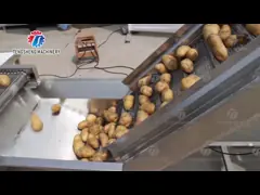 линию спецификации транспортера еды 380V ленточного транспортера сетки нержавеющей стали можно определить video