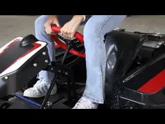 Экспресс прохождение аэропортовых формальностей дистанционного управления двойного места идет батарея использующее энергию 48V 30Ah Karts video