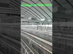 Стандартный стальной окунутый цыпленок слоя Q235 арретирует горячее гальванизированный video