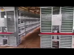 192 Chickens / Set H Type Battery Chicken Cage Chicken Farming Cage Automatic