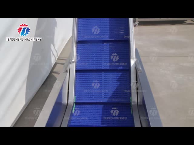 Машина лифта промышленной маракуйи цитруса машины обработки овоща 0.375KW пре- пенясь
