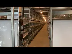 Профессиональные клетки батареи слоя оборудования сельского хозяйства цыпленка video