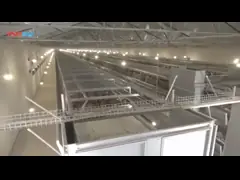 Клетка слоя цыпленка яйца рамки h оборудования птицефермы video