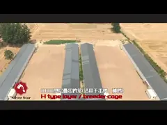 H сформировал слой яйца арретирует небольшую штабелированную систему клетки батареи video