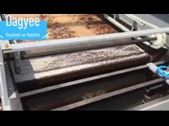 Building Material Plant Caron Steel Dissolved Air Flotation DAF Water Treatment Equipment