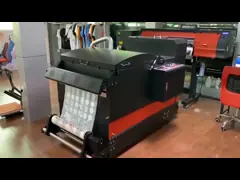 Принтер фильма любимца Dtf чернил пигмента с головой печати 2Pcs DX6/4720/i3200 video