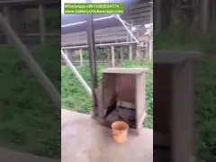 Equipo de reproduction de poules avec cage de poules à oeuf automatique Equipo di riproduzione di galline con gabbia di galline a uovo automatico