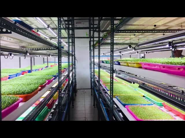 導かれるAquaponics 120Lumenの水耕栽培はナノの反射器が付いているライト システムを育てる