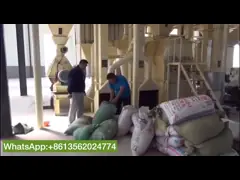 China 6m Poultry Farming Equipment The Beheaded Chicken Feet Cooling Machine supplier