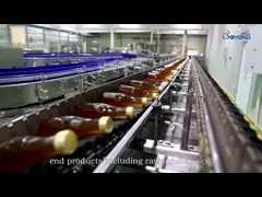 SUS304 Концентрированная технологическая линия фруктового сока для граната video