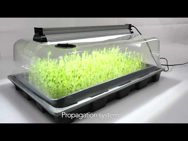 Поднос питомника подноса распространения с СИД EDJ растет светлым для саженца видео