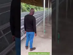 Клетка u размножения цыпленка слоя рамки формирует стальную клетку слоя птицы батареи video