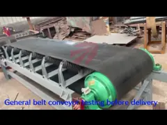 Моторизованный транспортер управляемый шкивами более неработающего ролика ринва 1m/S для угля video