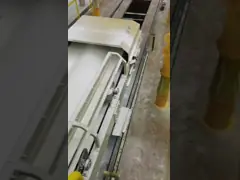 Тензид башни сушки пульверизатором пудрит тонну производственной линии 1/час video