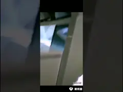 Яркость машины сортировщицы цвета Mungbeans камеры CCD высокая video