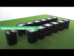 Commercial 12 Bucket Aeroponic Grow System 13cm To 30cm Height