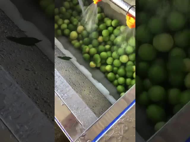 Industrial Automatic Vegetable And Fruit Washing Cleaning Machine For Tomato Salad