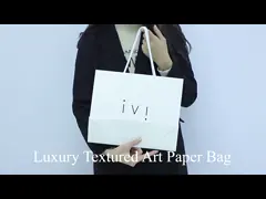Роскошная известная таможня хозяйственной сумки подарка ювелирных изделий бренда печатает небольшие бумажные мешки с вашим собственным журналом video