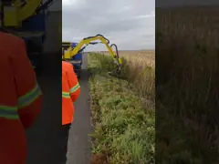 Скорость автоматов для резки 2300r/Min сада косилки трала травы video