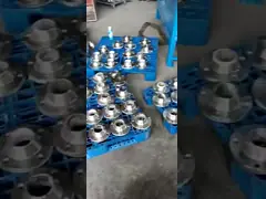 Forged Rf 304l 316l Stainless Steel Weld Neck Flange Dn15 - Dn2000