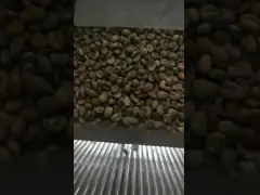 Поручать каналов парашюта 384 сортировщицы 6 цвета кофейного зерна CVG-6 удаленный video