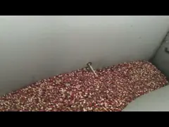 Вакуумируйте экранировать келпа и креветок продукта моря сортировальной машины силы тяжести video