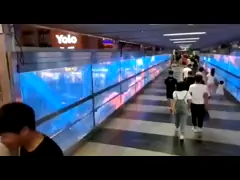 IP33 Indoor P2.6x5.2 Transparent LED Video Screen 1mx1m