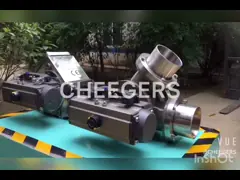 Пластиковые частицы затыкают нержавеющую сталь DN65 перекрывного клапана video