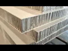 Панель сэндвича коробки трейлера сота пальто FRP PP геля video