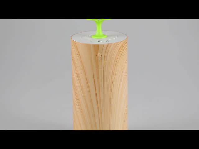 0.2ml/Hは芳香の拡散器、10ml無水贅沢な車の芳香の拡散器のプラグを差し込む