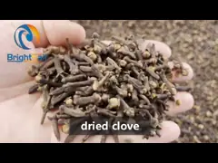 Машина хлопь Chili машины точильщика дробилки порошка нержавеющей стали качества еды грубая video