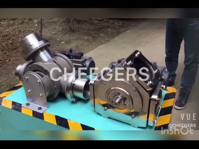 DN200 Pneumatic Diverter Valve Stainless Steel 304 Double Actuator