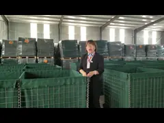 China Galvanized Iron Wire Mesh  Basket Gabion Box Retaining Wall supplier